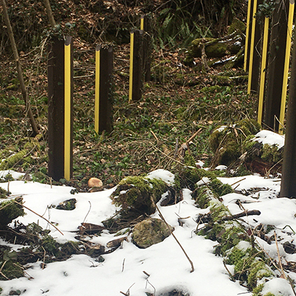 Kachel 2021 2022 Open